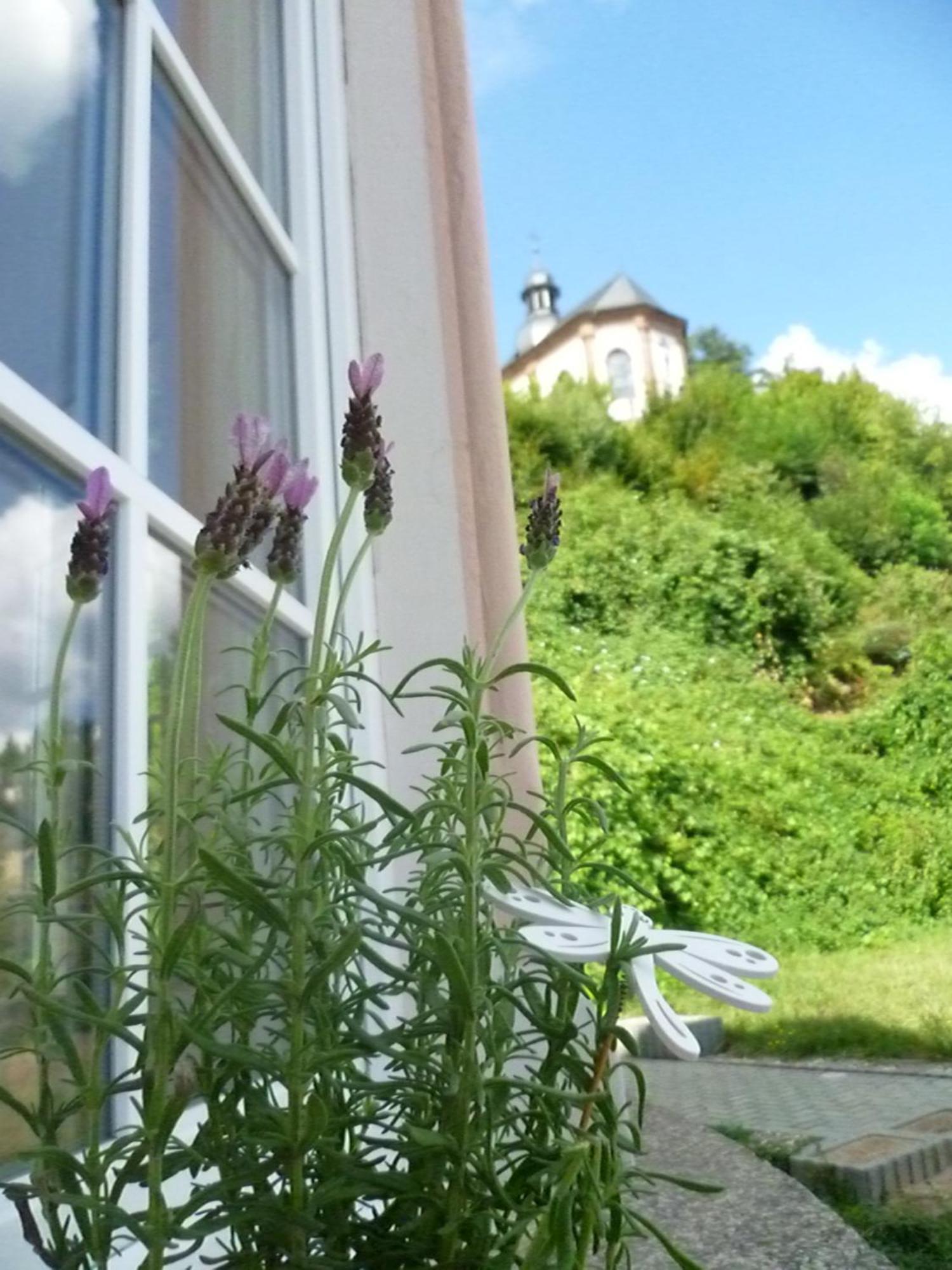 Moderne Wohnung In Barockem Altstadthaus Nahe Altstadt Und Radweg Блискастель Экстерьер фото